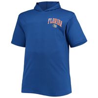 Men's Royal Florida Gators Big & Tall Team Hoodie T-Shirt