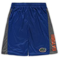 Men's Royal Florida Gators Big & Tall Textured Shorts