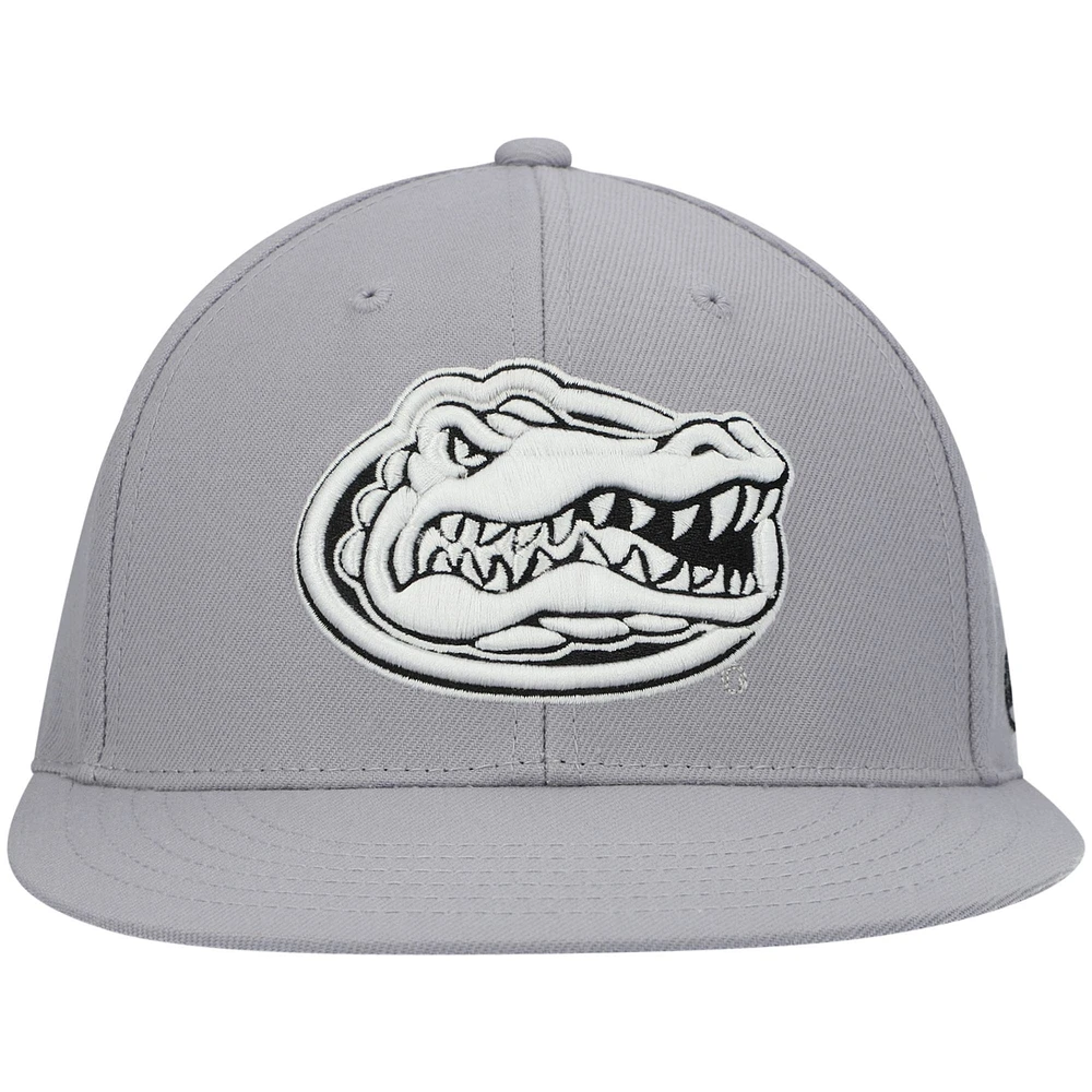 Casquette ajustée Top of the World pour hommes, gris, Florida Gators