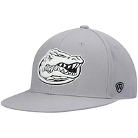 Casquette ajustée Top of the World pour hommes, gris, Florida Gators