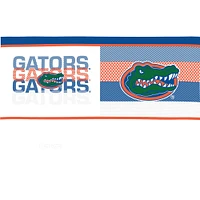 Tervis Florida Gators Paquet de quatre 16oz. Ensemble de gobelets classiques