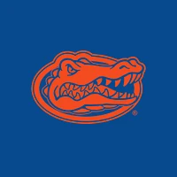 Women's Fanatics  Royal/White Florida Gators Backup Option Lightweight Pullover Hoodie