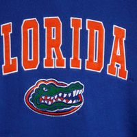 Youth Colosseum Royal Florida Gators 2-Hit Team Pullover Hoodie