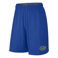 Youth Nike  Royal Florida Gators Fly Performance Shorts