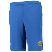 Youth Nike Royal Florida Gators Performance Fly Shorts