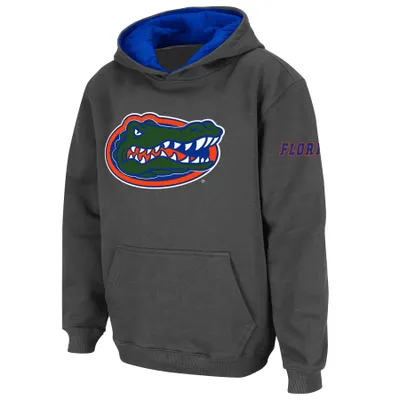 Florida Gators Stadium Athletic Youth Big Logo Pullover Hoodie