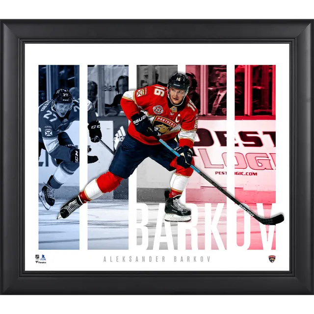 Fanatics Authentic Florida Panthers 2022 Atlantic Division Champions 15'' x  17'' Framed Collage Photo