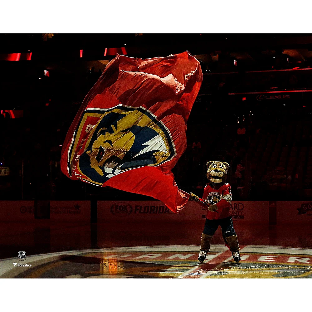 Stanley C. Panther Florida Panthers Unsigned Waving Flag Photograph