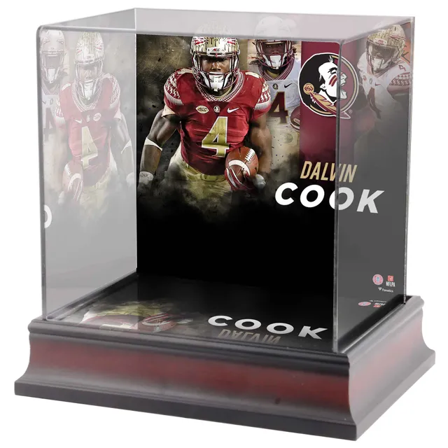 Dalvin Cook Florida State Seminoles Framed 15 x 17 Player Collage