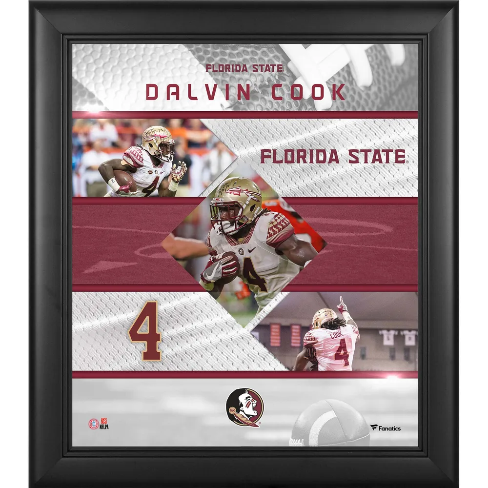 Mens Stitched 4 Dalvin Cook Jersey,Dalvin Cook Florida State