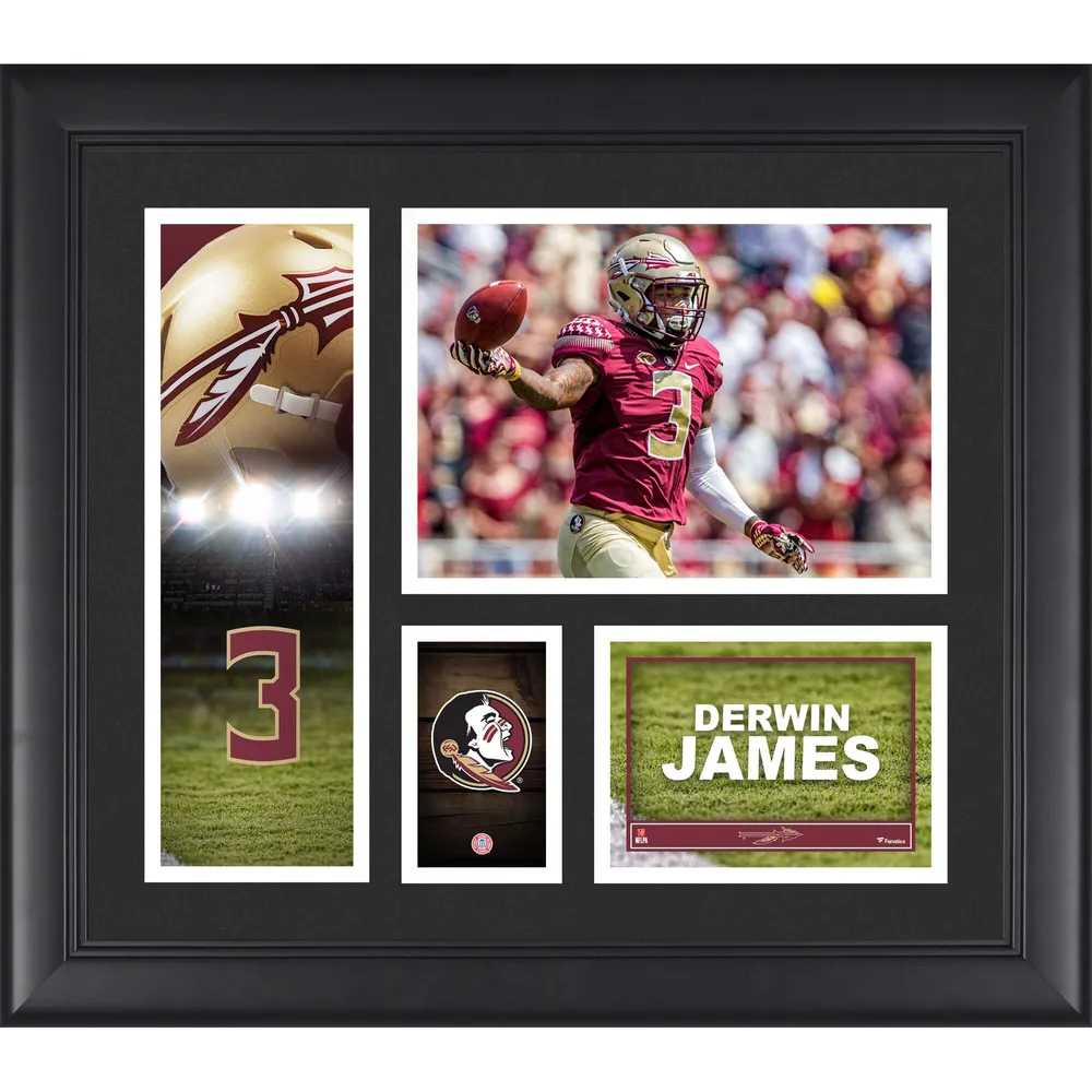 LeBron James Cleveland Cavaliers Framed 11 x 14 NBA Finals Game 7  Chasedown Block Moments Spotlight - Facsimile Signature - NBA Player  Plaques and
