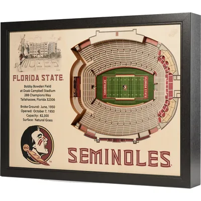 Florida State Seminoles 25.5" x 19.5" Doak Campbell Stadium Stadium Views Wall Art