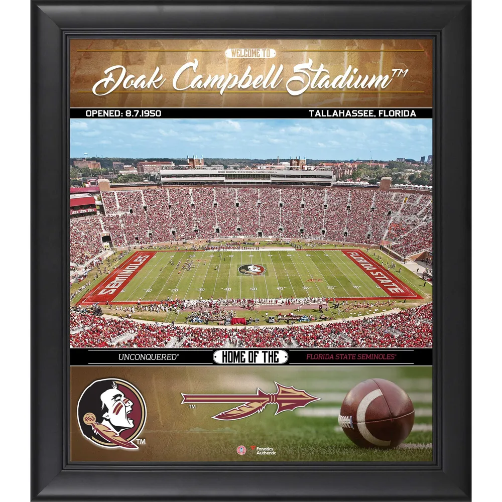 Derwin James Florida State Seminoles Framed 15 x 17 Player Collage