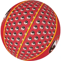 Mini ballon de basket-ball des Seminoles de l'État de Floride