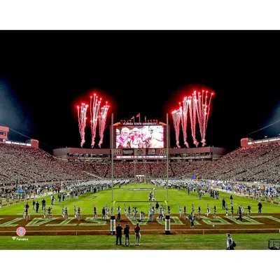 Florida State Seminoles Fanatics Authentic Unsigned Bobby Bowden Field at Doak Campbell Stadium Photograph