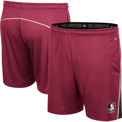 Men's Colosseum Garnet Florida State Seminoles Laws of Physics Shorts