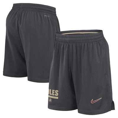 Short Nike Anthracite Florida State Seminoles 2024 Sideline Performance Mesh pour homme