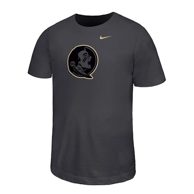Youth Nike Charcoal Florida State Seminoles Legend Color Pop Performance T-Shirt