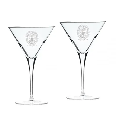 Georgetown Hoyas 2-Piece 10oz. Luigi Bormioli Titanium Martini Glass Set