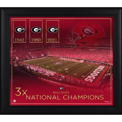 Georgia Bulldogs Fanatics Authentic Framed 15" x 17" Football Championship Count Collage