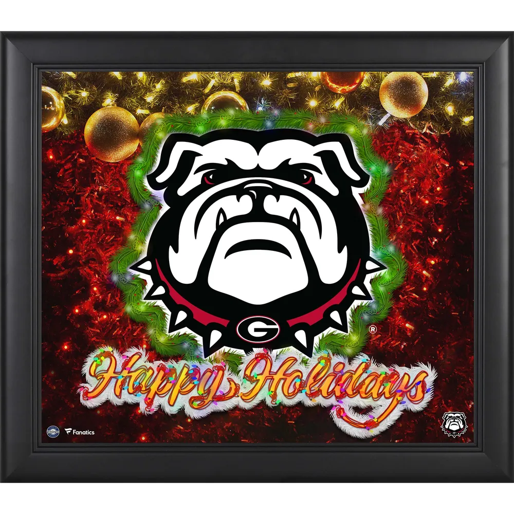 Fanatics Authentic Nick Chubb Georgia Bulldogs Framed 15 x 17 Player Collage