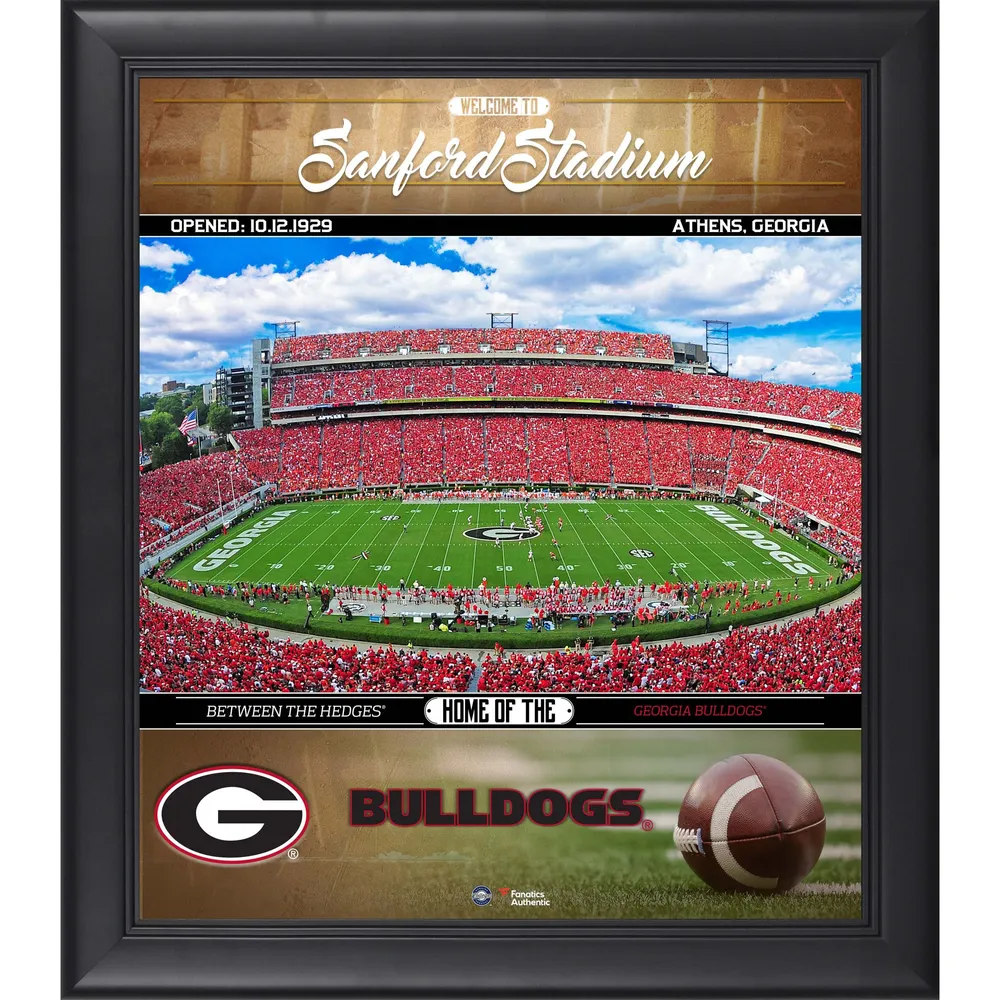 Nick Chubb Georgia Bulldogs Fanatics Authentic Framed 15 x 17