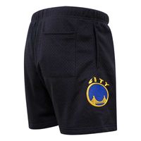 Men's Pro Standard Stephen Curry Black Golden State Warriors Player Name & Number - Mesh Shorts