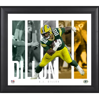 Green Bay Packers Framed 15 x 17 2020 NFC North Division