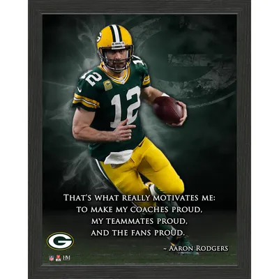 Bart Starr & Aaron Rodgers Green Bay Packers Highland Mint 16'' x 20'' Super  Bowl Traditions Bronze Coin Photo Mint