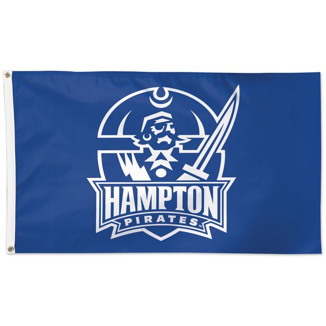 WinCraft Hampton Pirates 3' x 5' Logo Drapeau unilatéral