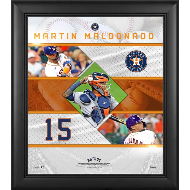 Houston Astros Fanatics Authentic Framed 15 x 17 2022 World Series  Champions Collage