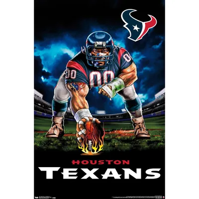 Houston Texans Helmet Lamp