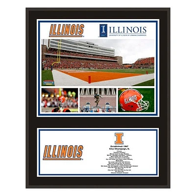 Illinois Fighting Illini 12'' x 15'' Sublimated Team Plaque