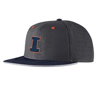 Men's Nike Anthracite Illinois Fighting Illini 2025 On-Field True Performance Baseball Fitted Hat