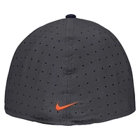 Men's Nike Anthracite Illinois Fighting Illini 2025 On-Field True Performance Baseball Fitted Hat