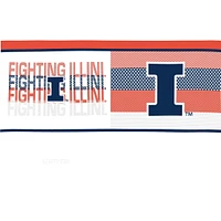 Tervis Illinois Fighting Illini Lot de quatre 16 oz. Ensemble de gobelets classiques