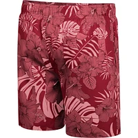 Men's Colosseum Crimson Indiana Hoosiers The Dude Swim Shorts