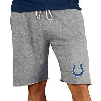 Indianapolis Colts Concepts Sport Mainstream Terry Shorts