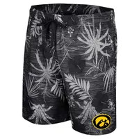 Men's Colosseum Black Iowa Hawkeyes What Else is New Swim Shorts