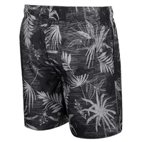 Men's Colosseum Black Iowa Hawkeyes What Else is New Swim Shorts