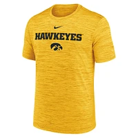 Men's Nike Gold Iowa Hawkeyes 2025 Sideline Velocity Performance T-Shirt