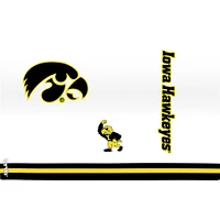 Tervis Iowa Hawkeyes Four-Pack 16oz. Classic Tumbler Set