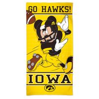 WinCraft Iowa Hawkeyes 30'' x 60'' Disney Spectra Beach Towel