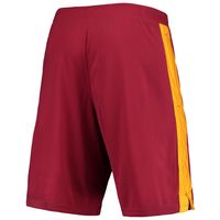 Men's Champion Cardinal Iowa State Cyclones Side Stripe Shorts