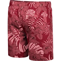 Men's Colosseum Cardinal Iowa State Cyclones The Dude Swim Shorts