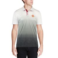 Men's Colosseum Gray Iowa State Cyclones Magic Team Logo Polo