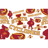 Tervis Iowa State Cyclones, paquet de 2, 16 oz. Ensemble de gobelets concurrents et emblèmes