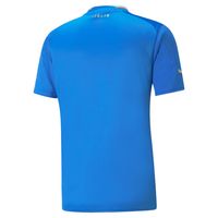 Men's Puma Blue Italy National Team 2022/23 Home Replica Blank Jersey