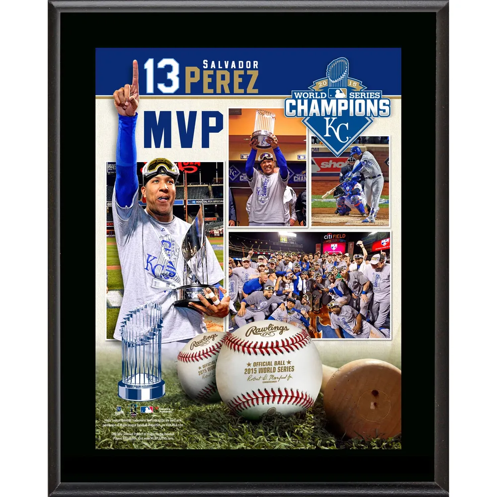 Fanatics Authentic Chicago Cubs 2016 MLB World Series Champions 10.5 x 13 Sublimated Plaque