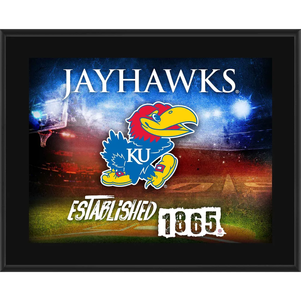 Lids Toronto Blue Jays Fanatics Authentic Framed 10.5 x 13